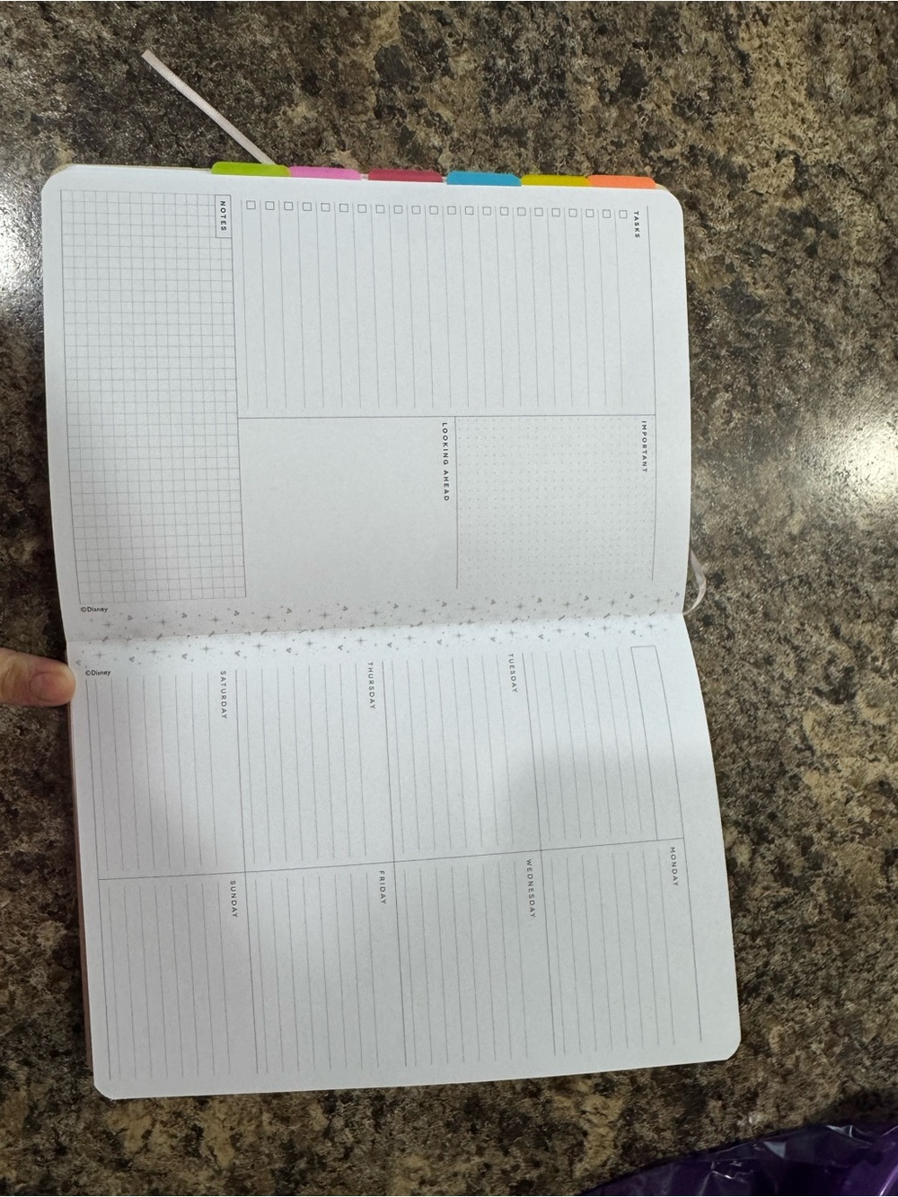 Happy planner Mickey Mouse undated weekly planner with tassel